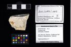 Foto (Objekt + Etikett) von Crustacea indet.  (NHMW-GEO-2014-0194-1004)